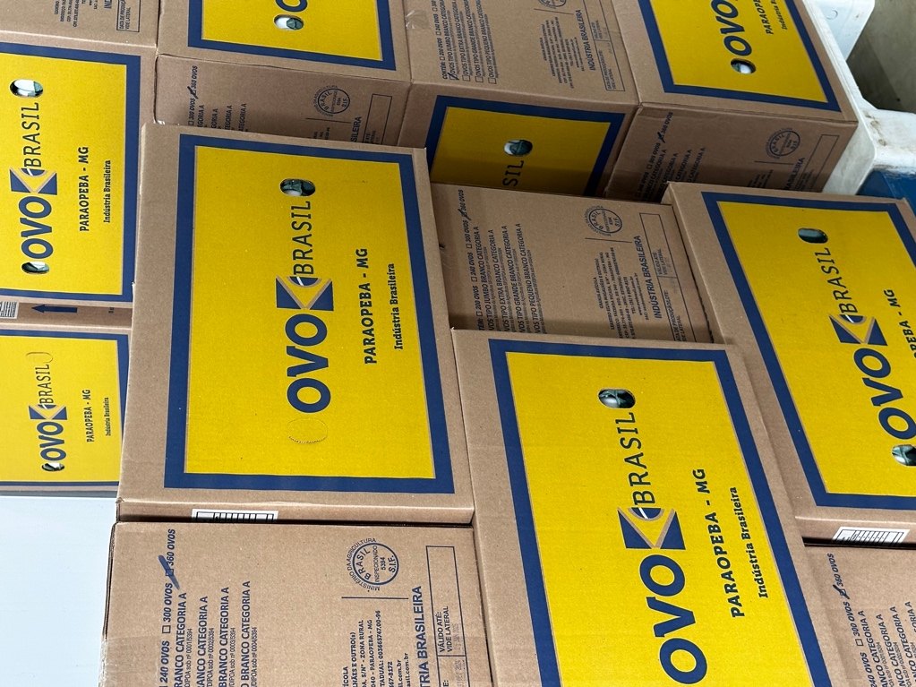 Caixas de ovos com a marca OVO Brasil — 360 ovos por caixa, Paraopeba/MG