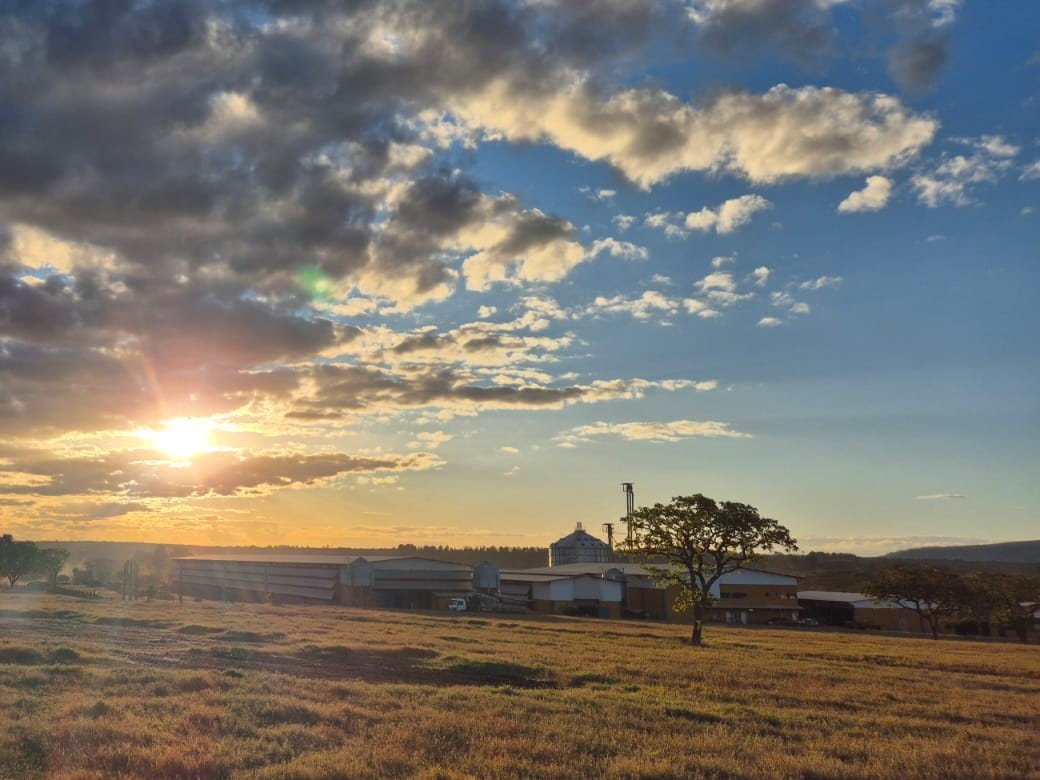 Pôr do sol sobre o campo e os galpões da Granja OVO Brasil em Paraopeba