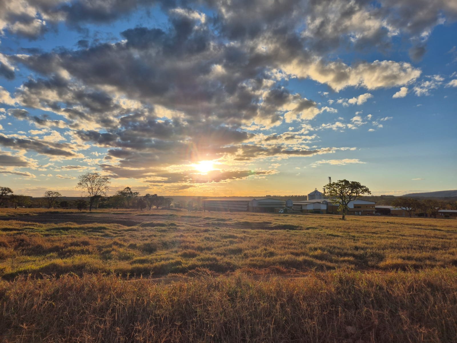 Pôr do sol dourado sobre o campo da Granja OVO Brasil